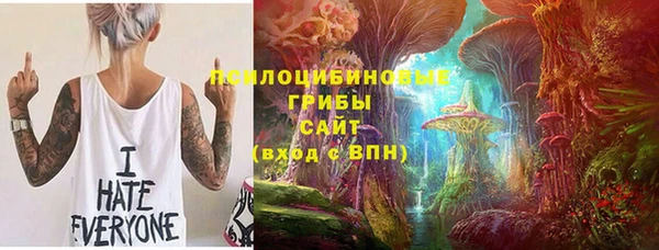 ALPHA PVP Алексин
