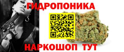 крисы Волгодонск