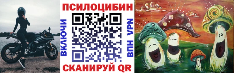 цена   Лабинск  Псилоцибиновые грибы Cubensis 