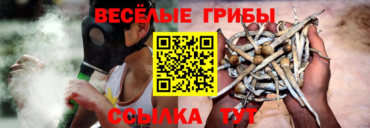Псилоцибиновые грибы GOLDEN TEACHER Лабинск
