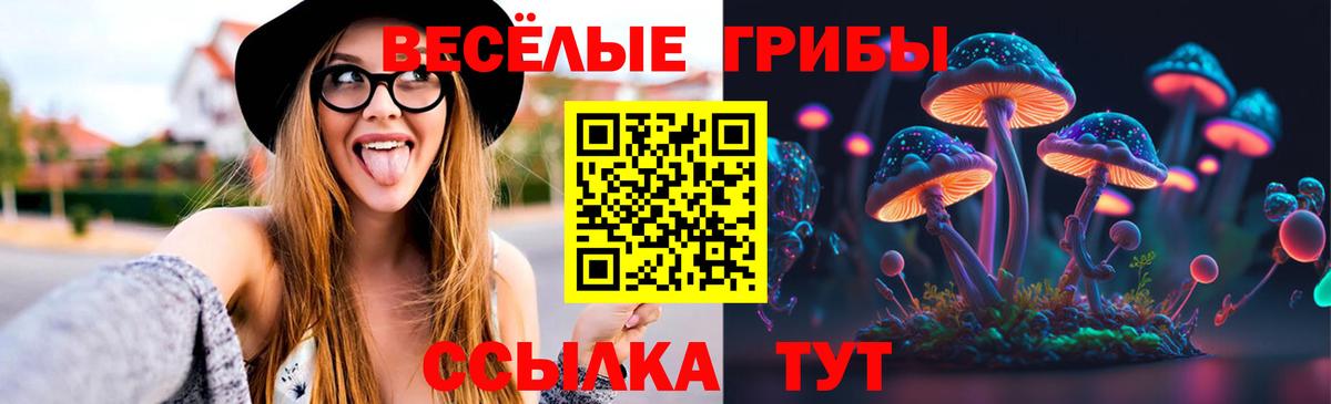 магазин  наркотиков  Псилоцибиновые грибы Psilocybine cubensis  Вход с VPN  Лабинск 